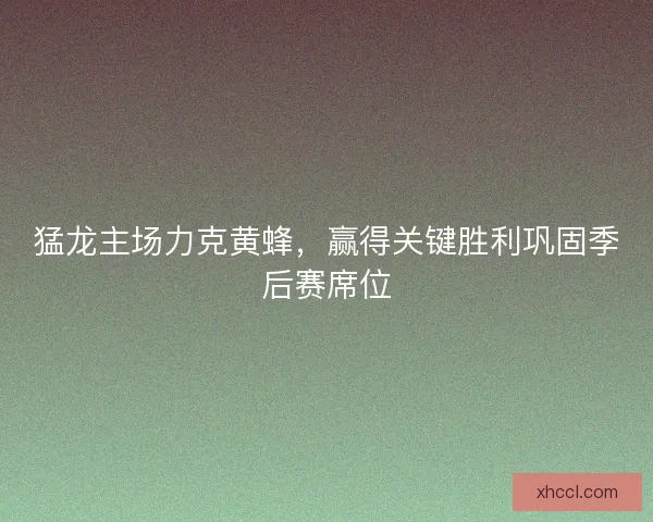 猛龙主场力克黄蜂，赢得关键胜利巩固季后赛席位